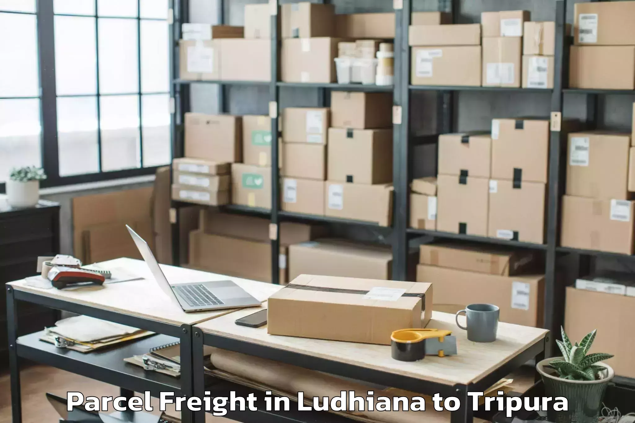 Easy Ludhiana to Boxanagar Parcel Freight Booking